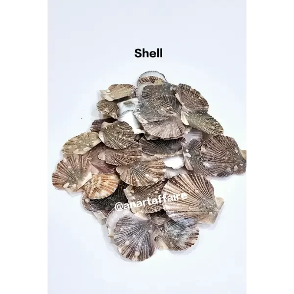 Shells