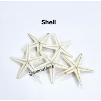 Shells