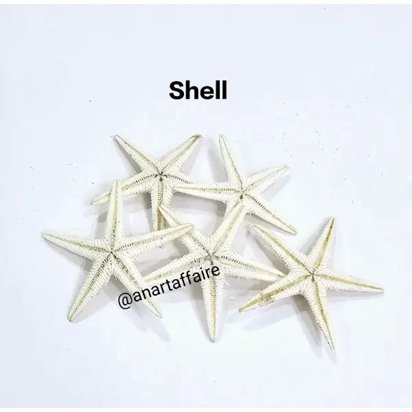 Shells