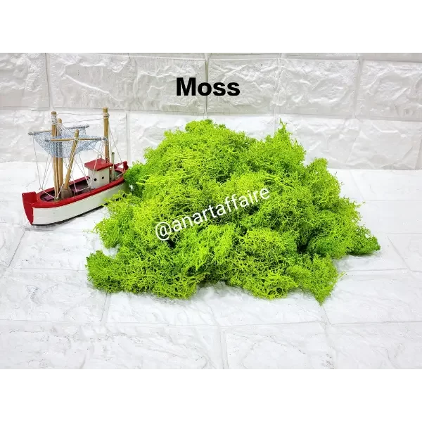 moss light green (20gm)