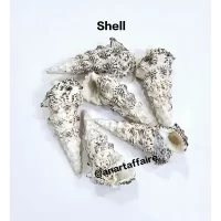 Shells