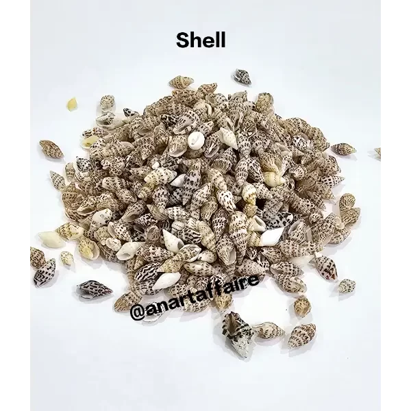 Shells