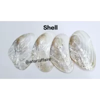 Shells