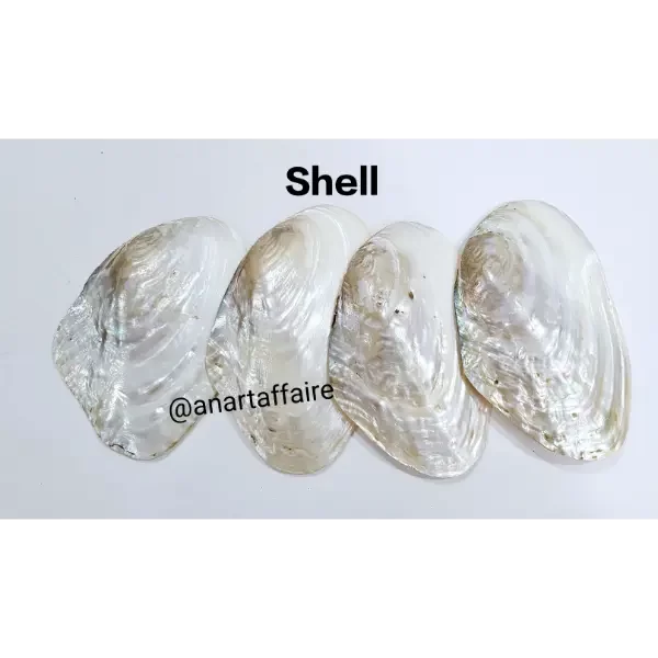 Shells