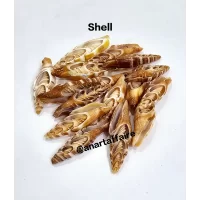 Shells