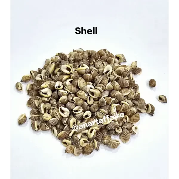 Shells