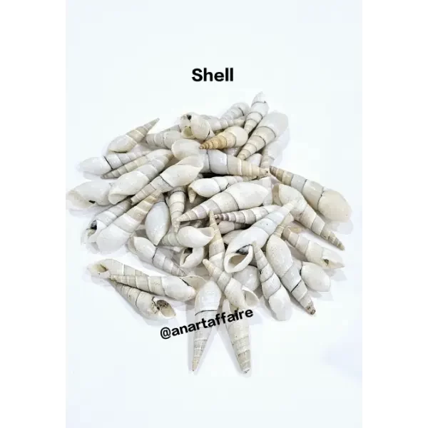 Shells