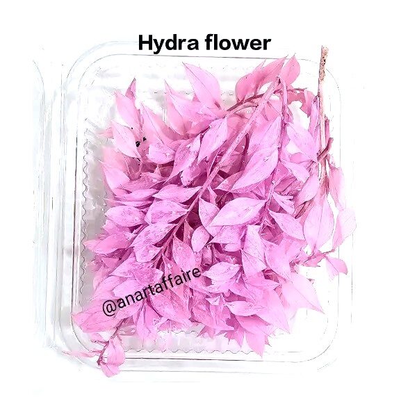 Hydra Flowers