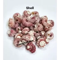 Shells