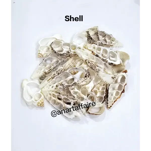 Shells