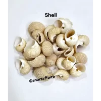 Shells