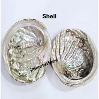 Shells