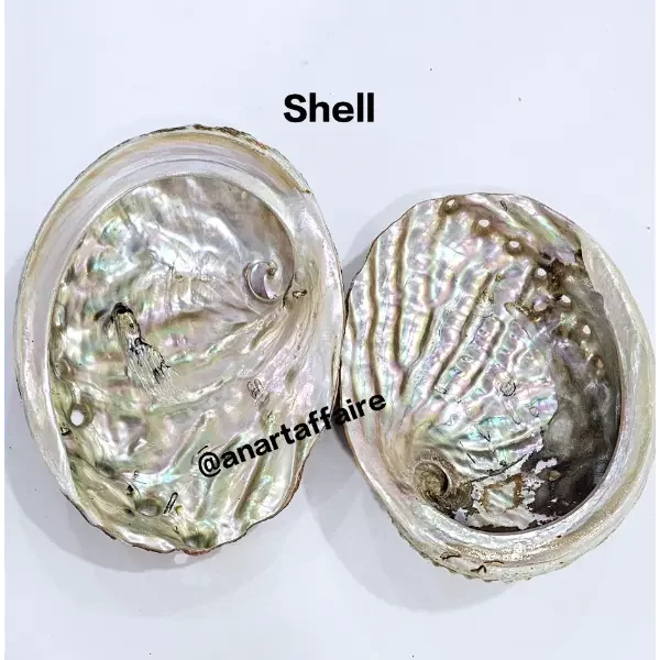 Shells