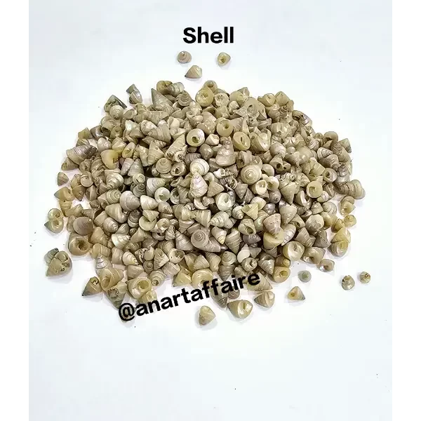 Shells