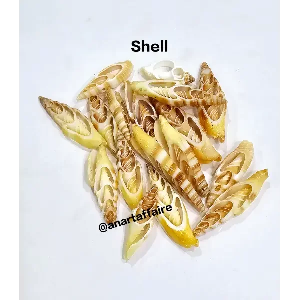 Shells