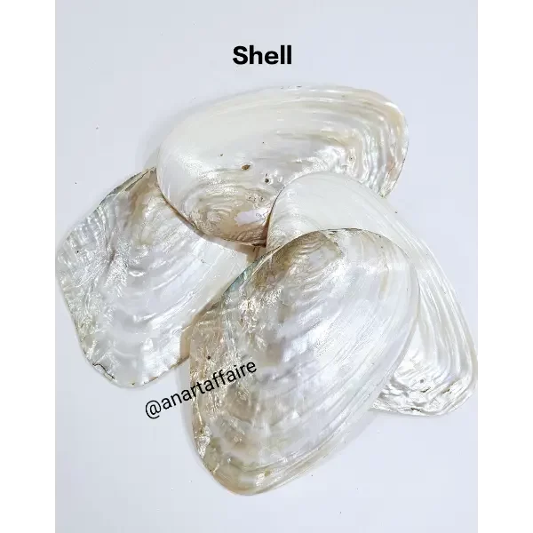 Shells