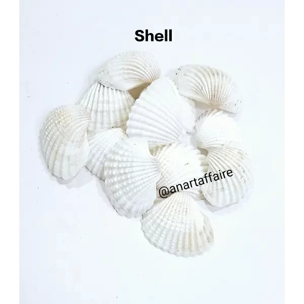 Shells