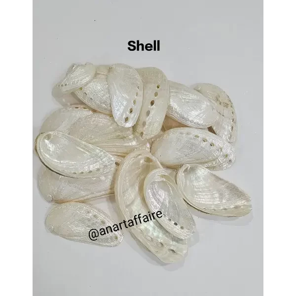 Shells