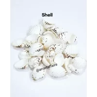 Shells