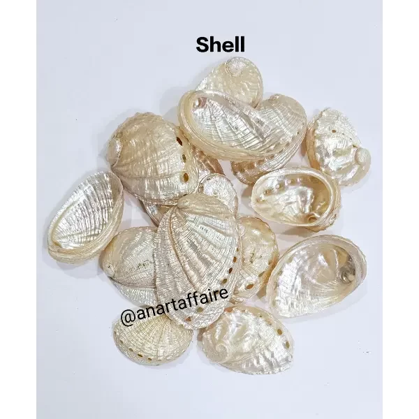 Shells