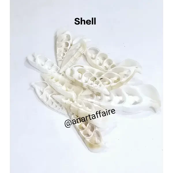 Shells