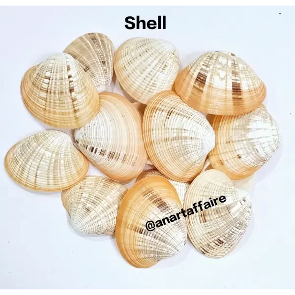 Shells