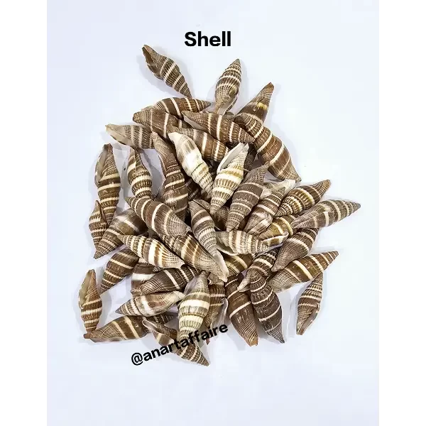 Shells