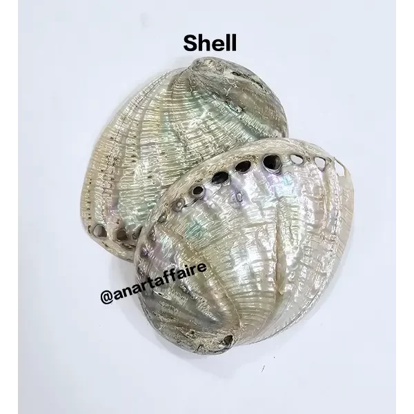 Shells