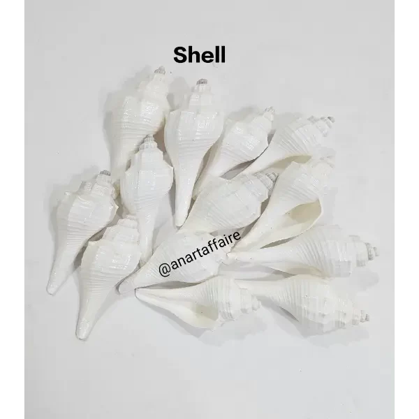 Shells