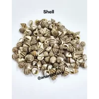 Shells