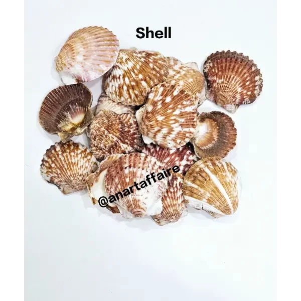 Shells