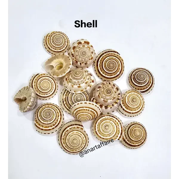 Shells