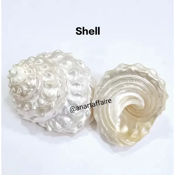 Shells