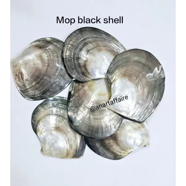 Shells