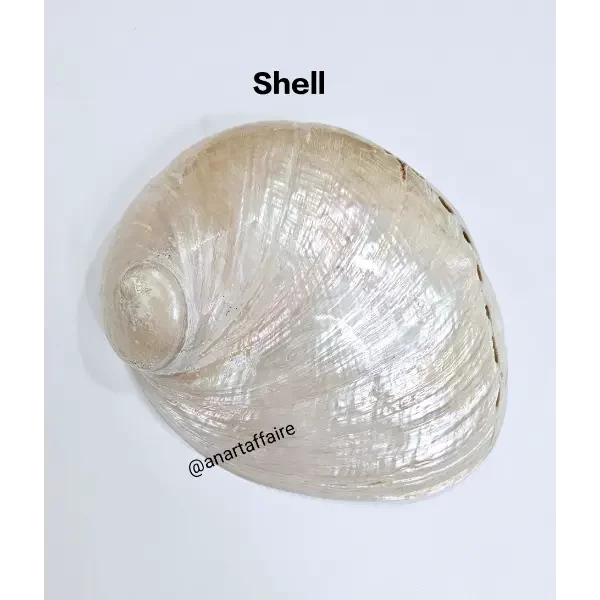 Shells