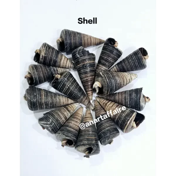 Shells