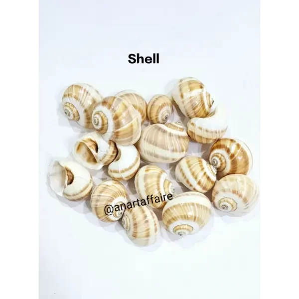 Shells