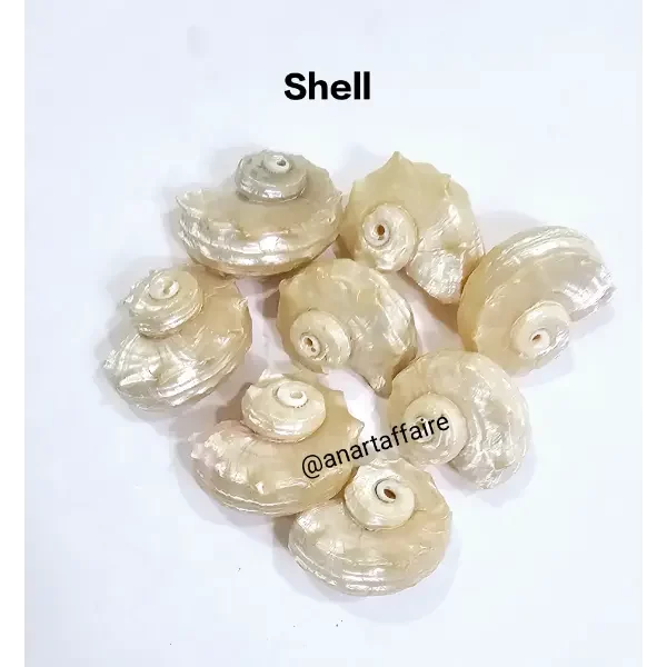 Shells