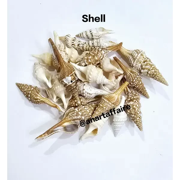 Shells