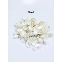 Shells