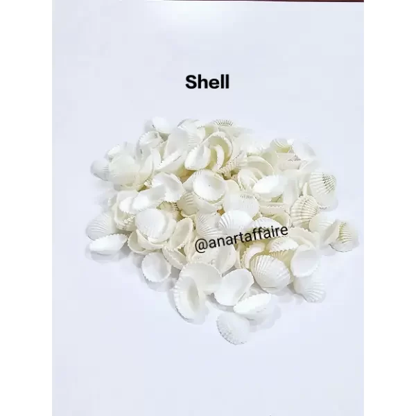 Shells