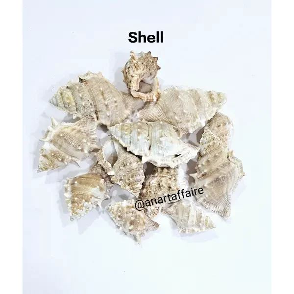 Shells