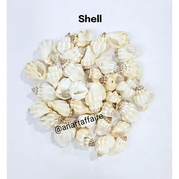 Shells