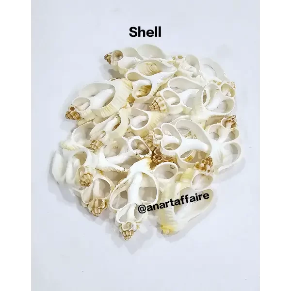 Shells