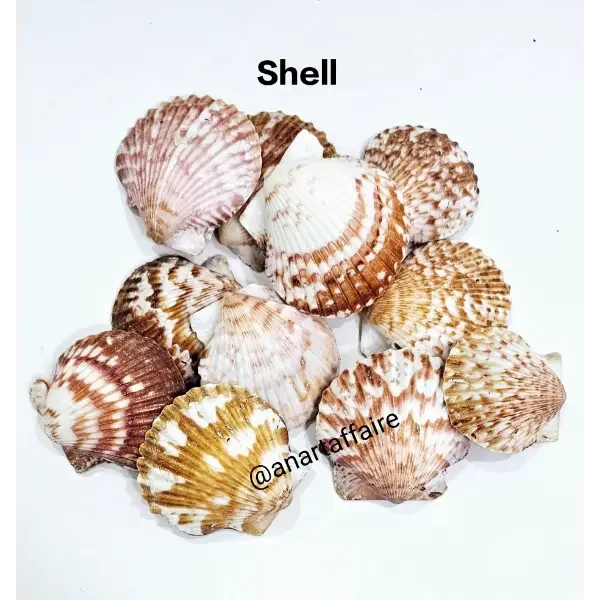 Shells