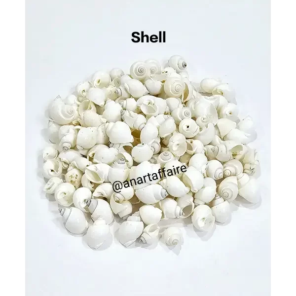 Shells