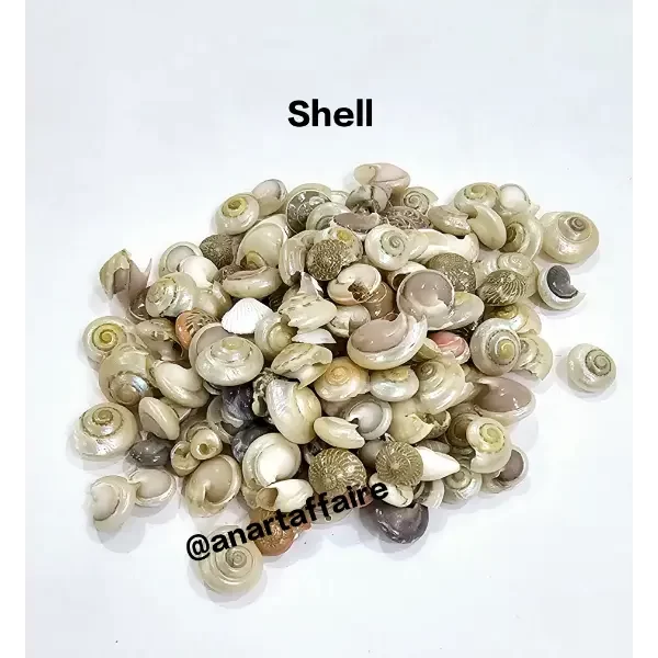 Shells