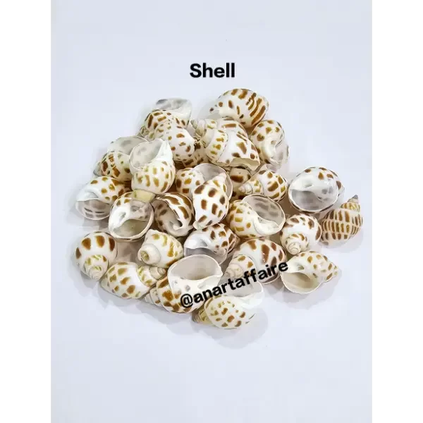 Shells