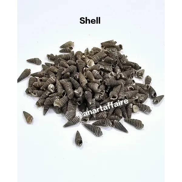 Shells