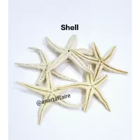 Shells